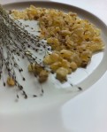 Kadidlo Aden, 20g