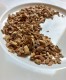 Kanela bílá, 20g